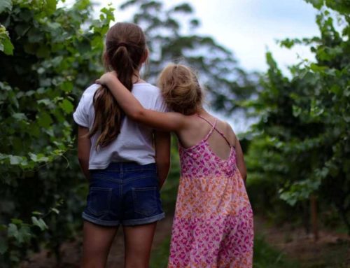 Hope for Troubled Minds: For My Loving Sister Ann Marie from Mary Beth