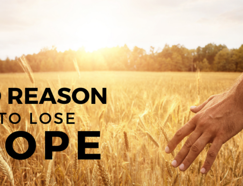 No Reason to Lose Hope