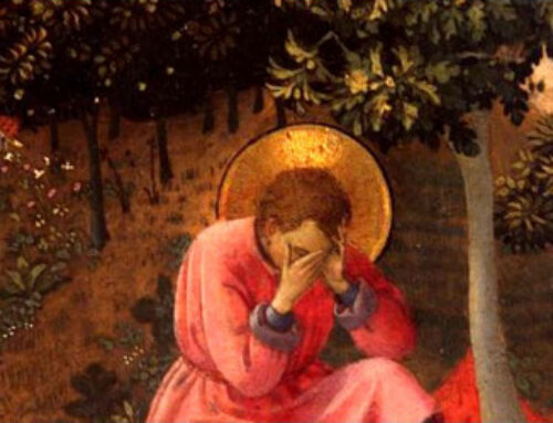 Continual Conversion: St. Augustine and Me
