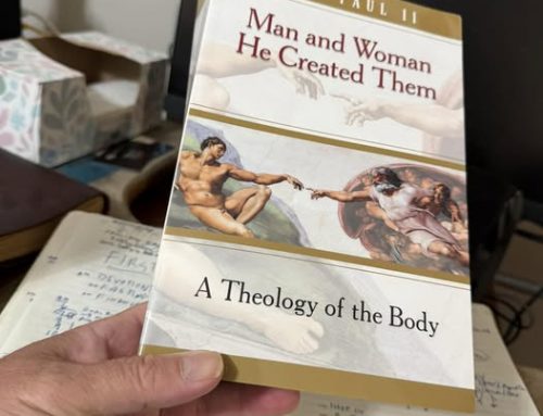 Man and Woman He Created Them: A Saint Blesses Our Bodies